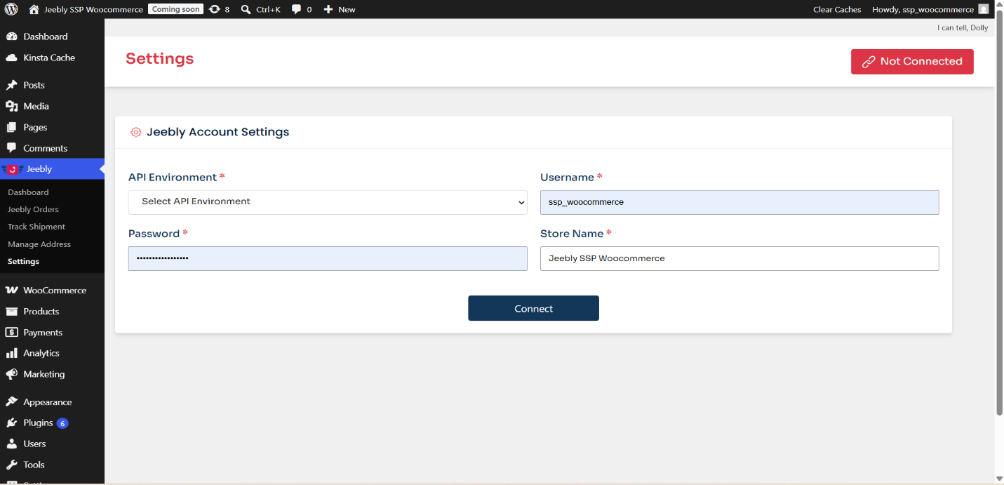 API Environment