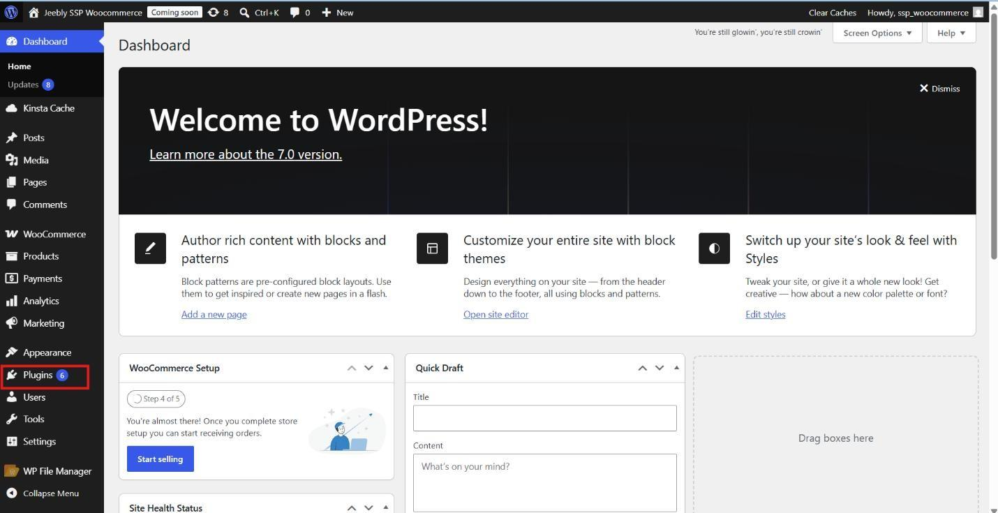 Plugins Add New