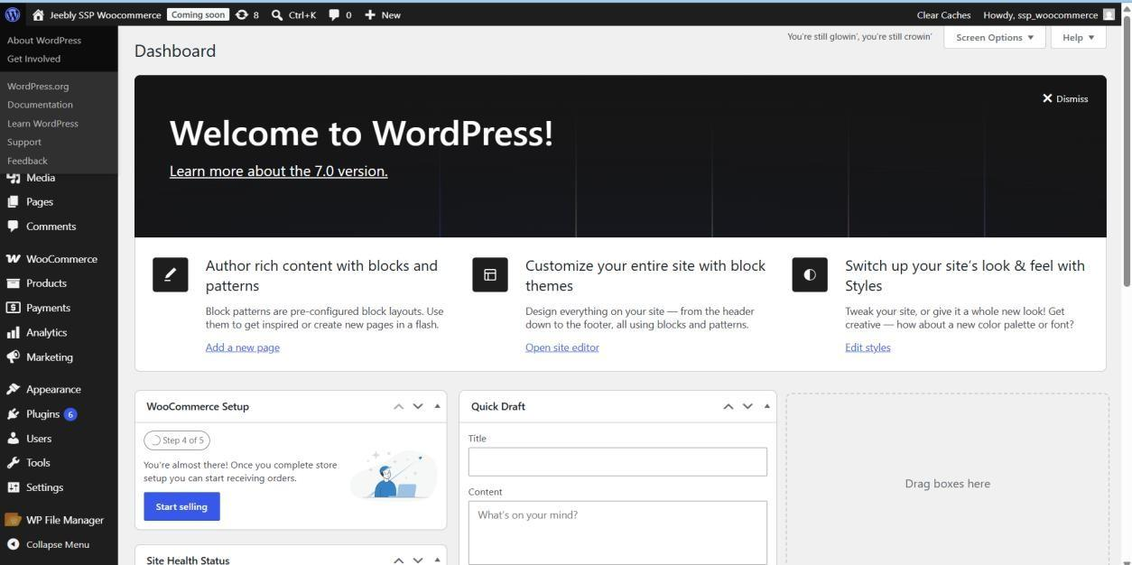 Log in to WordPress Admin